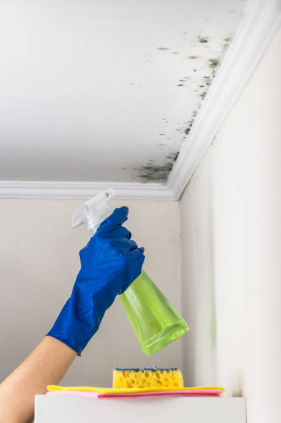 Water Damage Restoration in West St Paul, MN